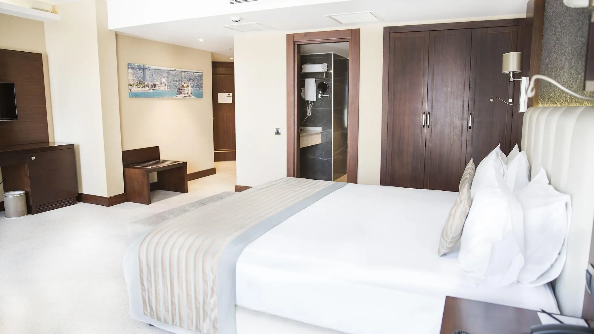 Grand Aras Hotel & Suites Istanbul